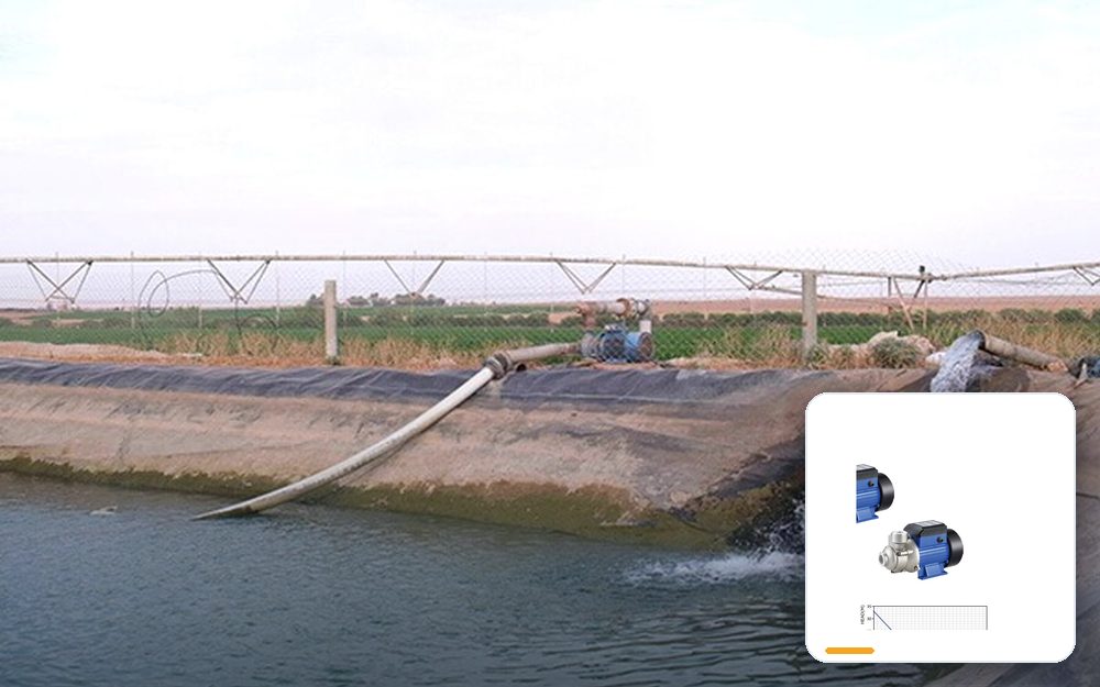 Orchard irrigation — Turkey